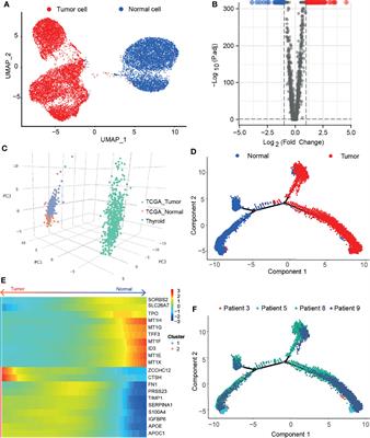 Single-Cell RNA Sequencing Revealed a 3-Gene Panel Predicted the Diagnosis and Prognosis of Thyroid Papillary Carcinoma and Associated With Tumor Immune Microenvironment